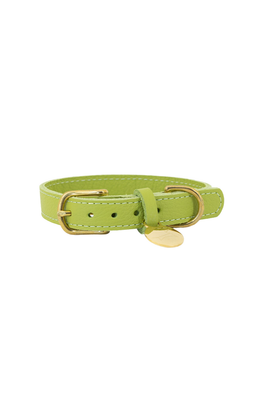 Leather dog collar with name tag - Apple green