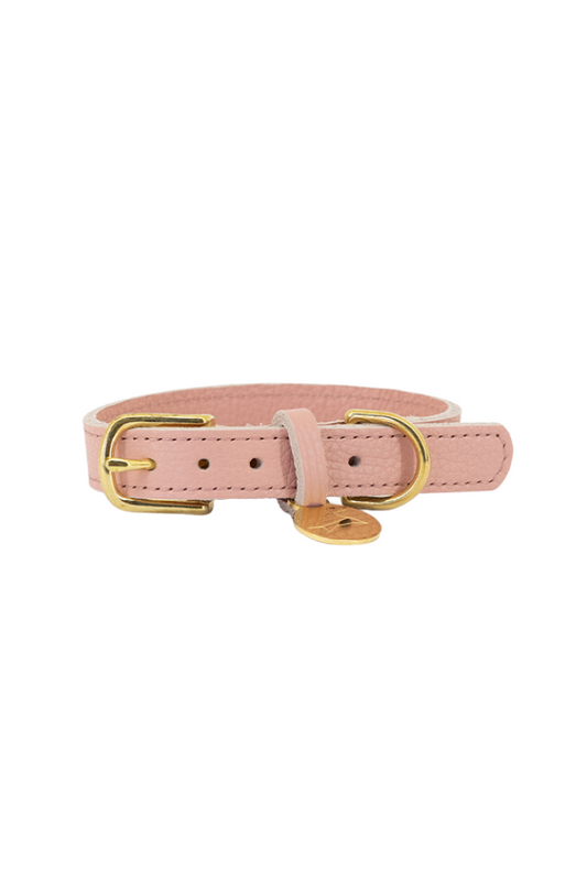 Leather dog collar with name tag - Baby pink