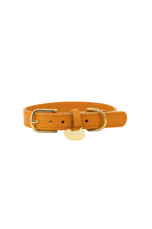 Leather dog collar with name tag - Elegant orange