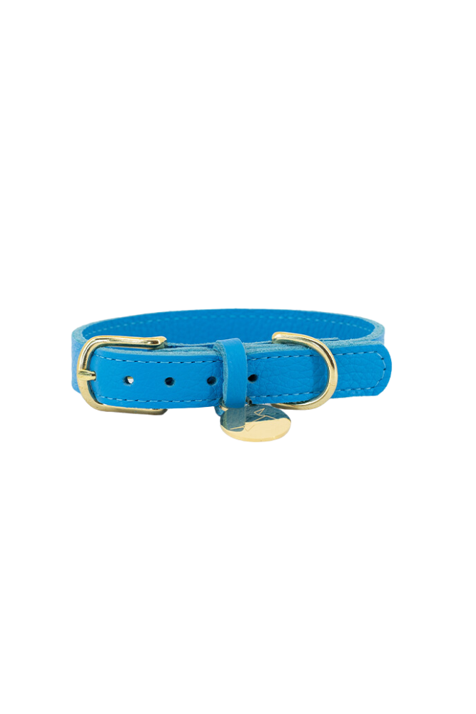 Dog collar leather with small classic grain - Frida blue