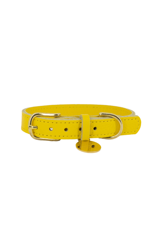 Leather dog collar with name tag - Yellow