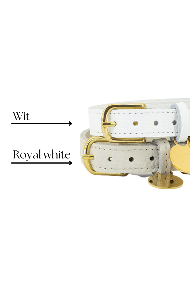 Hondenhalsband leer met naampenning - Royal white
