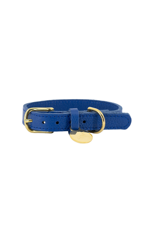 Leather dog collar with name tag - Cobalt blue