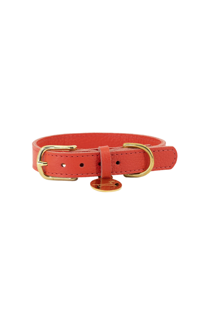 Leather dog collar with name tag - Coral
