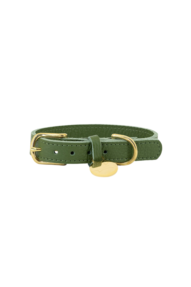 Dog collar leather with small classic grain - Moss green