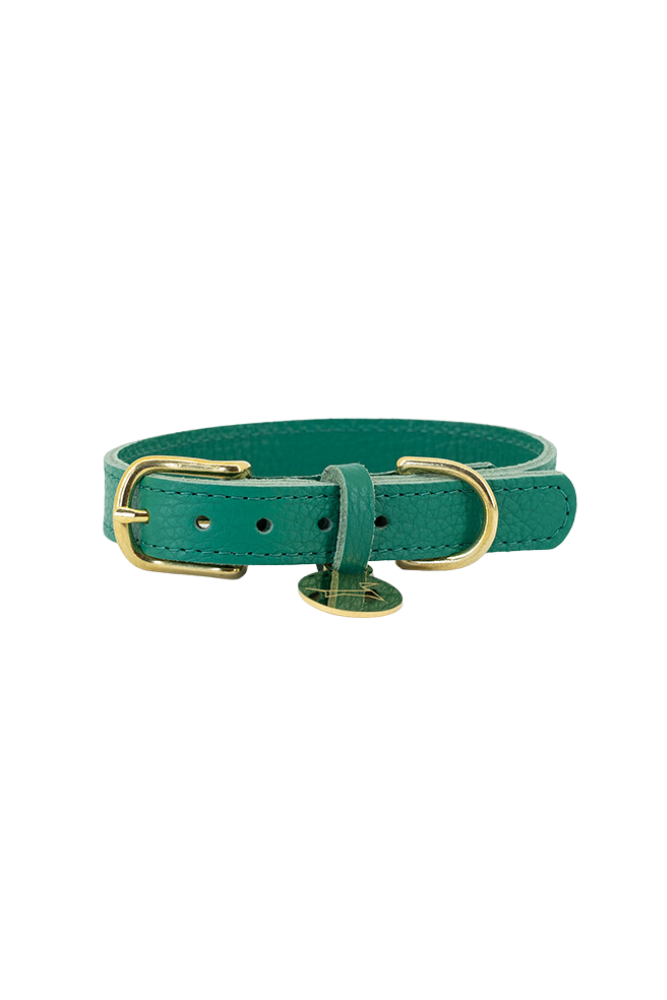 Hundehalsband aus Leder mit Namensschild – Smaragdgrün