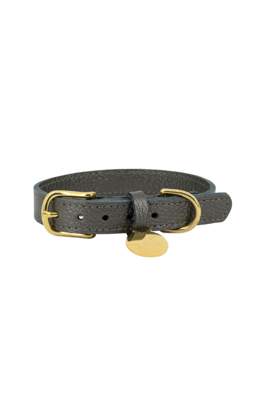 Leather dog collar with name tag - Titanium