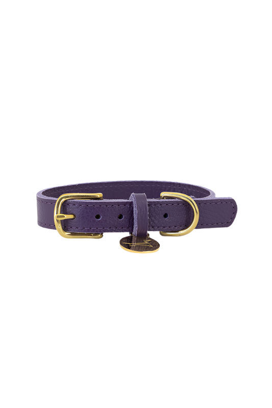 Hundehalsband aus Leder mit kleiner klassischer Narbung – Very Peri Purple