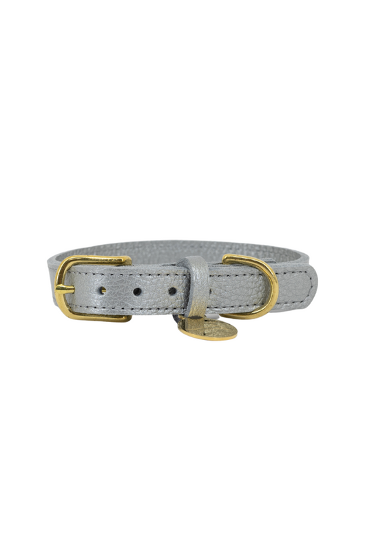 Leather dog collar with name tag - Silver