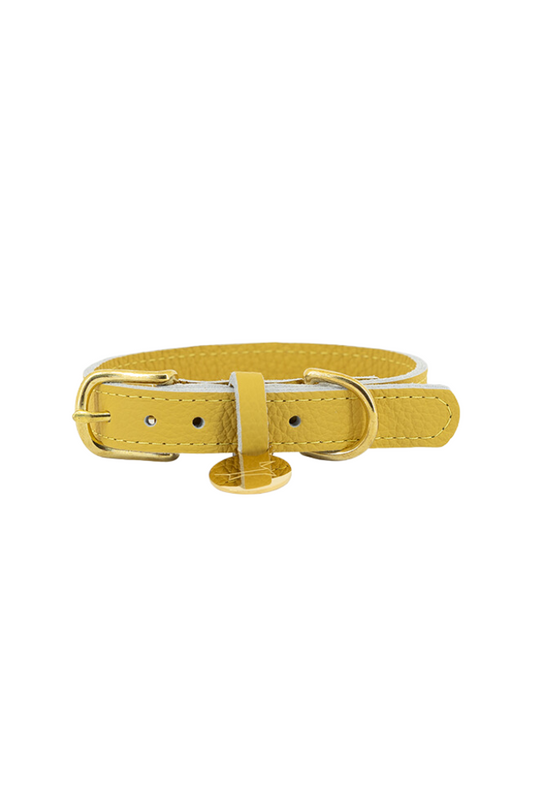 Leather Dog Collar with Small Classic Grain - Sunflower Yellow