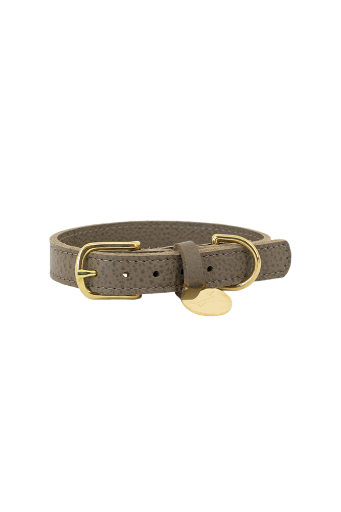 Leather dog collar with name tag - Taupe (buffalo leather)