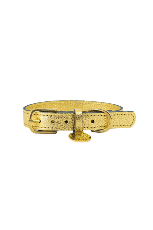 Hundehalsband aus Leder mit Namensschild - Gold (metallic)