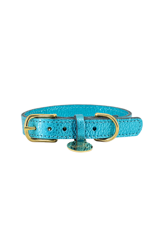 Leather dog collar with name tag - Turquoise (metallic)