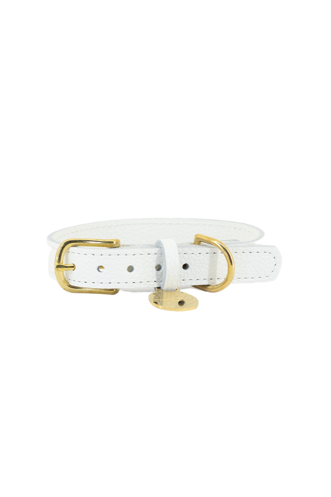 Leather dog collar with name tag - White
