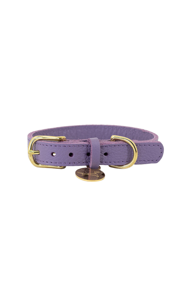 Leather dog collar with name tag - Soft purple