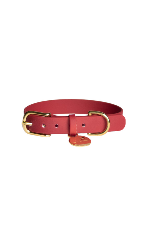 Dog collar waterproof webbing - Burgundy red