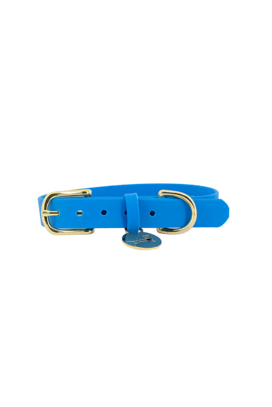 Wasserdichtes Hundehalsband aus Gurtband – Frida Blue