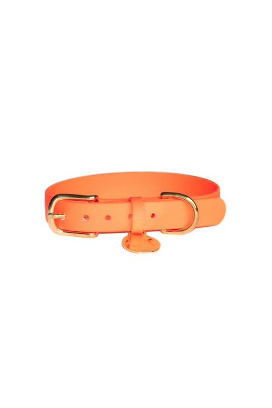 Hondenhalsband waterproof webbing - Neon Oranje