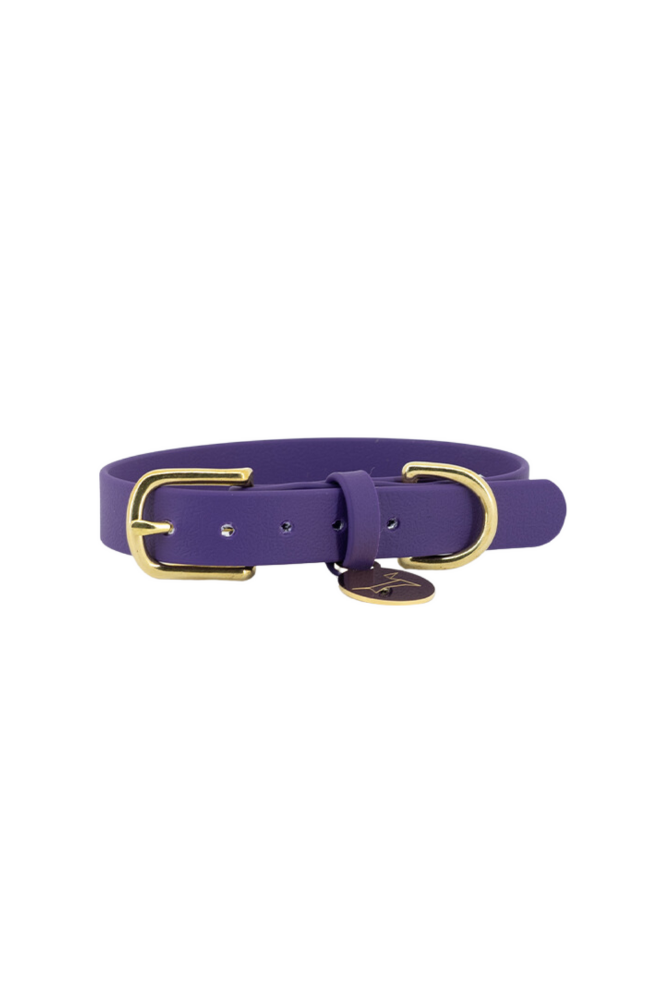 Wasserdichtes Hundehalsband aus Gurtband – Very Peri Purple