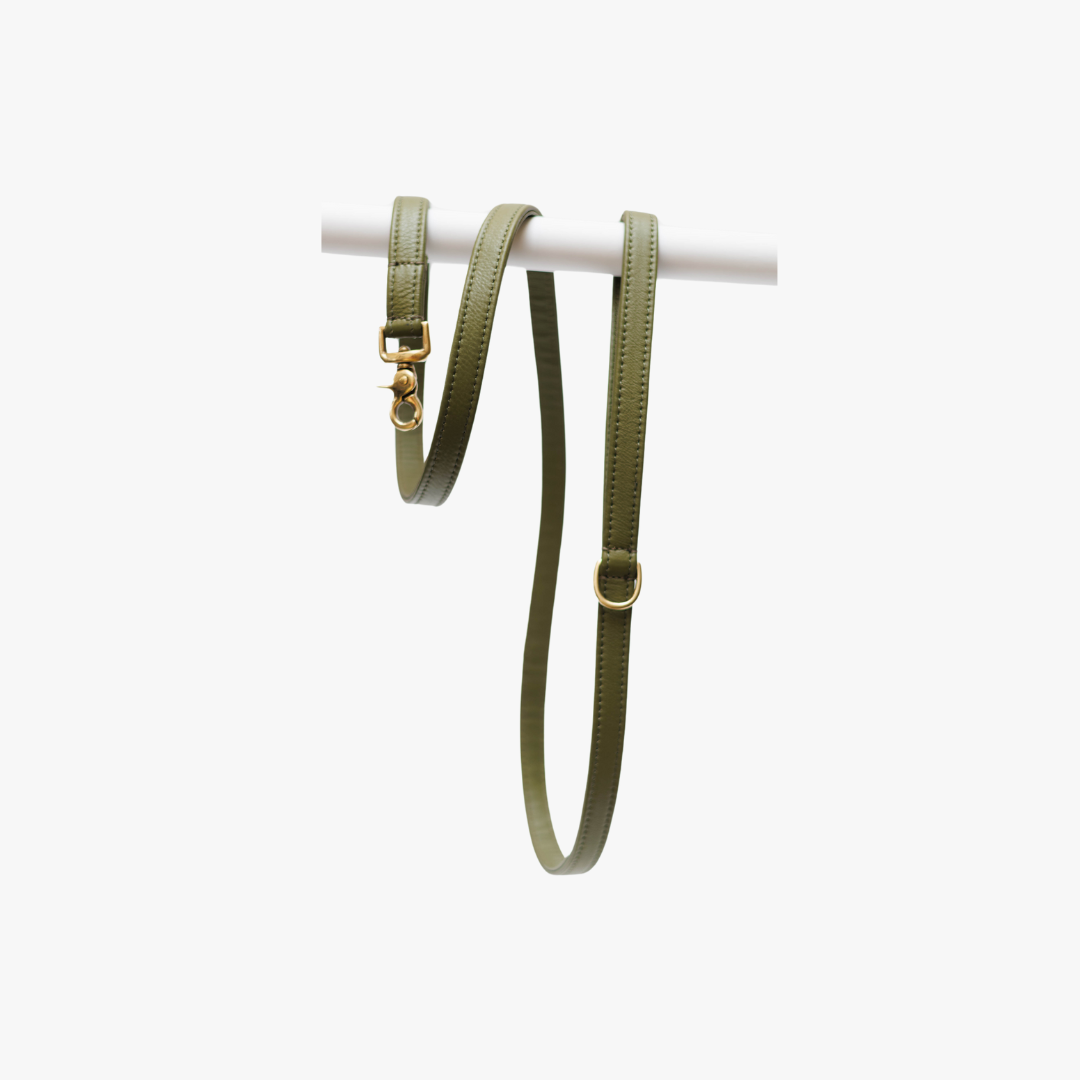 Dog Leash with Brass Finish - Classic - Green