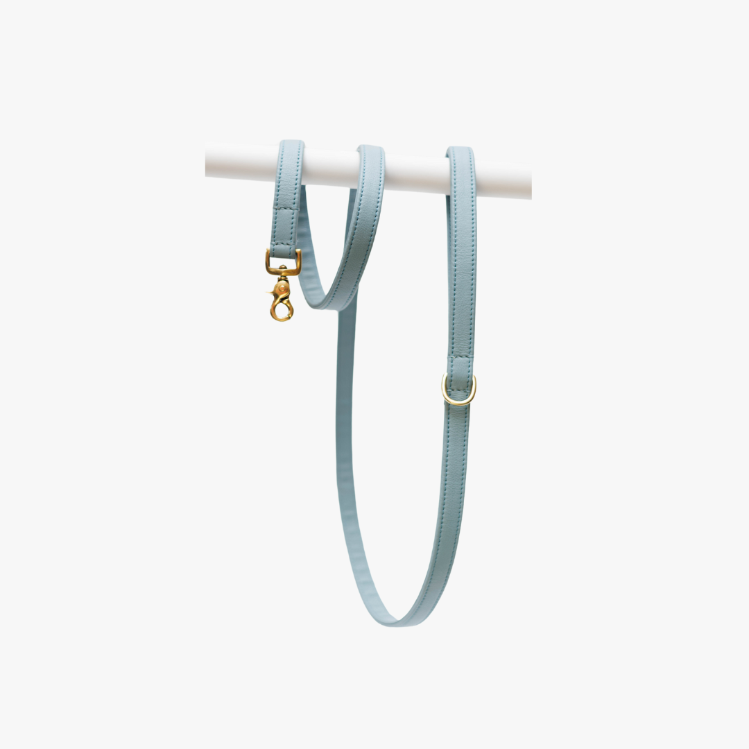 Dog leash with brass finish - Classic - Light Blue