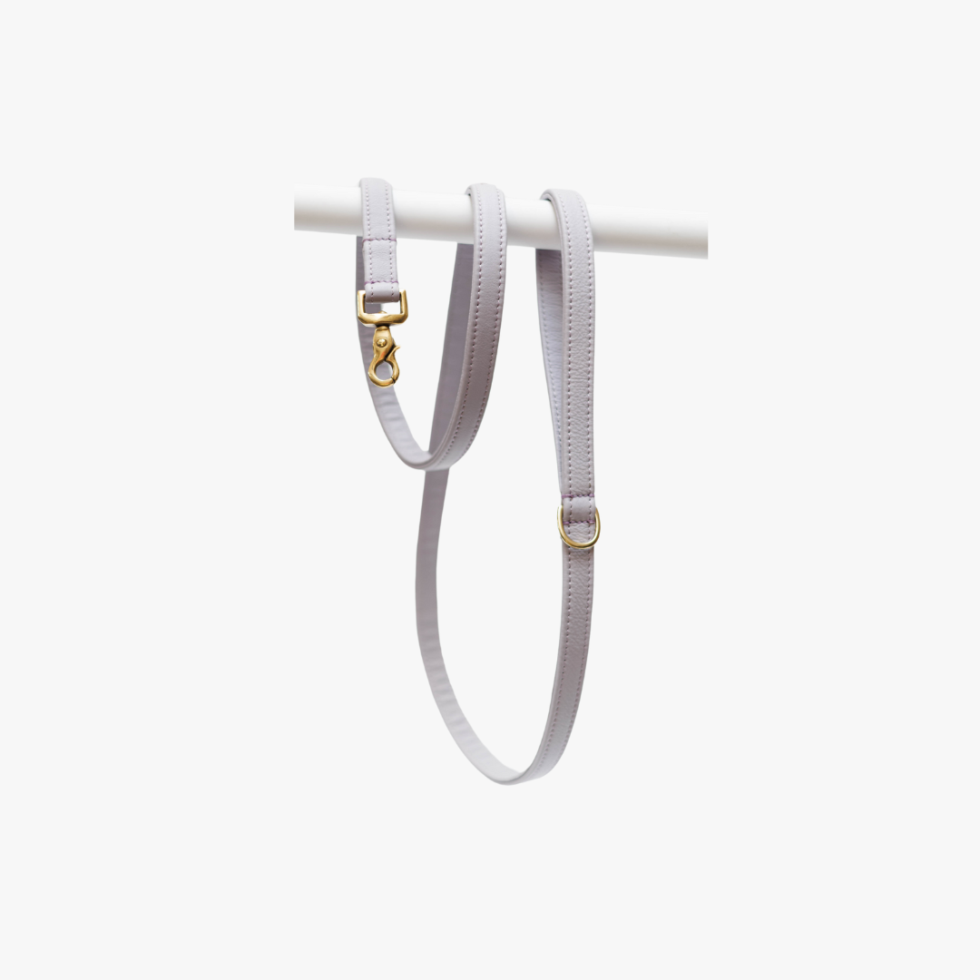 Dog leash with brass finish - Classic - Lilac Purple