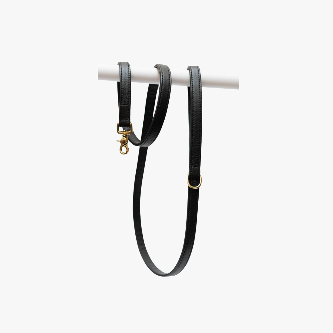 Dog Leash with Brass Finish - Premium - Black