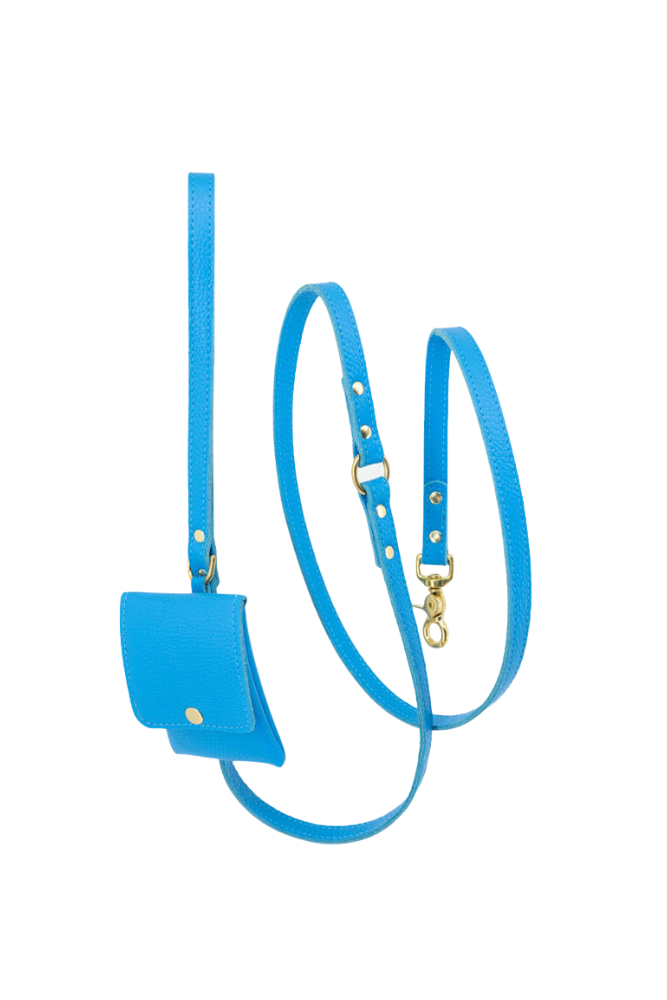 Dog leash + pooch leather 170 cm long - Frida blue