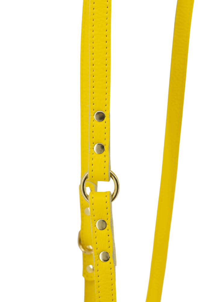 Hundeleine + Hündchenleder 170 cm lang – Gelb