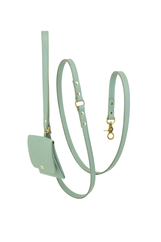 Dog leash leather + pooch with small classic grain 170 cm long | 1.5 cm wide - Mint