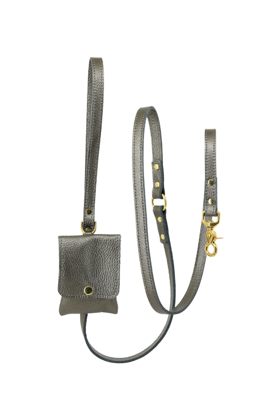 Dog leash + pooch leather with small classic grain 170 cm long - Titanium