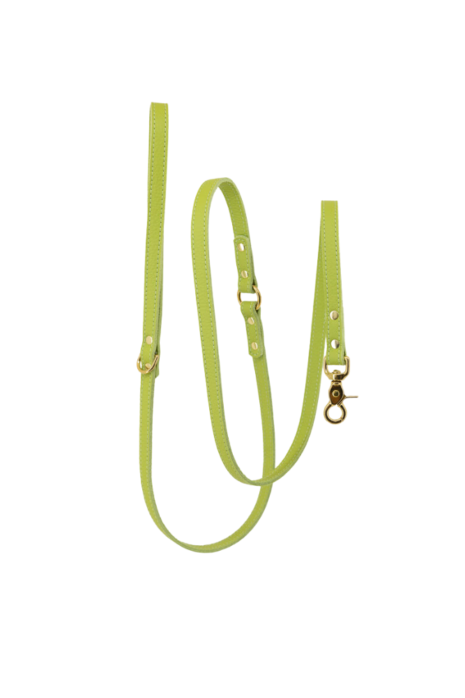 Dog leash leather with small classic grain 170 cm long | 1.5 cm wide - Apple green