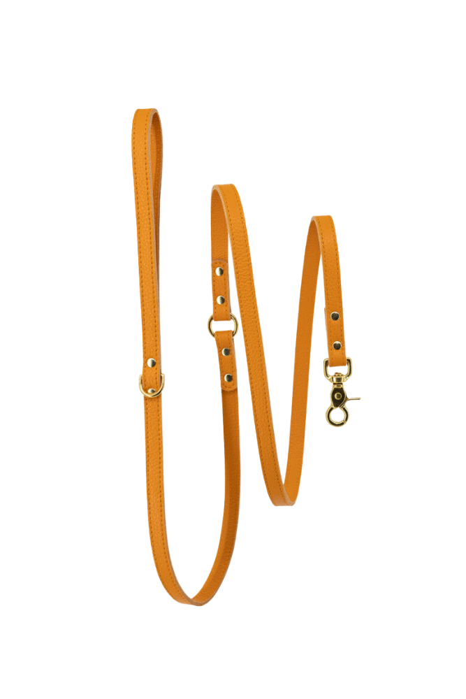 Dog leash leather with small classic grain 170 cm long | 1.5 cm wide - Elegant Orange