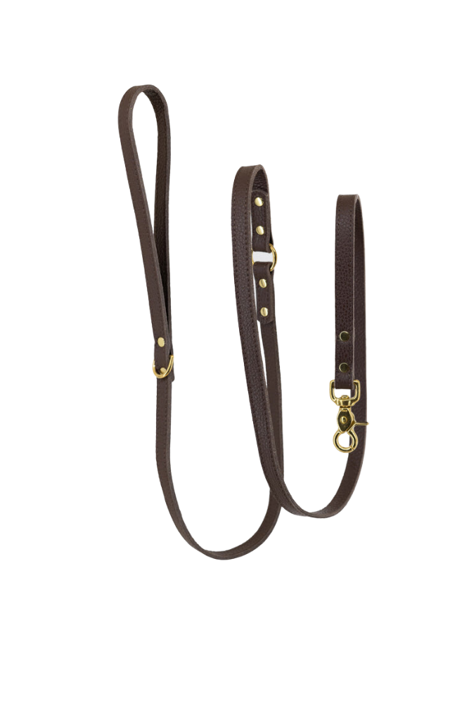 Dog leash leather with small classic grain 170 cm long | 1.5 cm wide - Espresso Brown