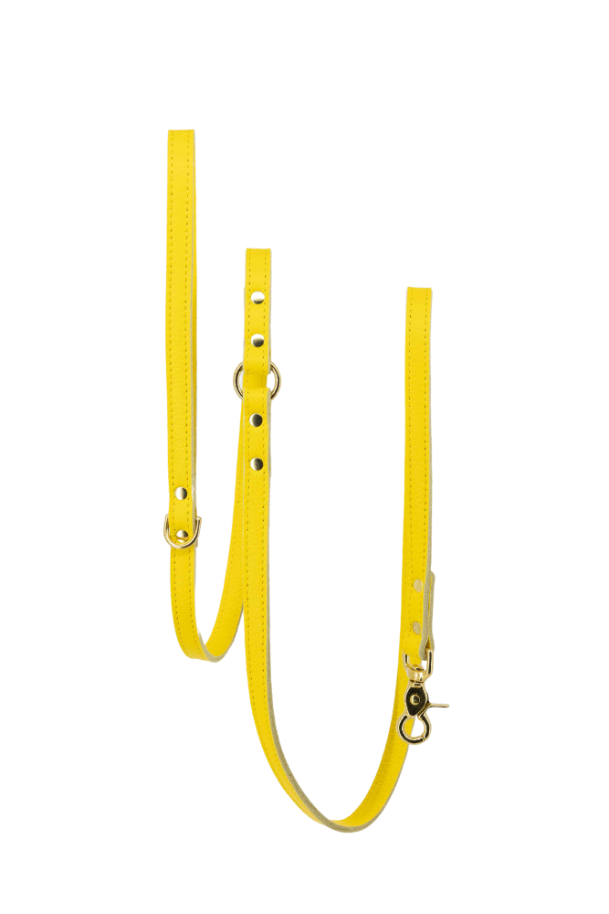 Hundeleine aus Leder, 170 cm lang – Gelb