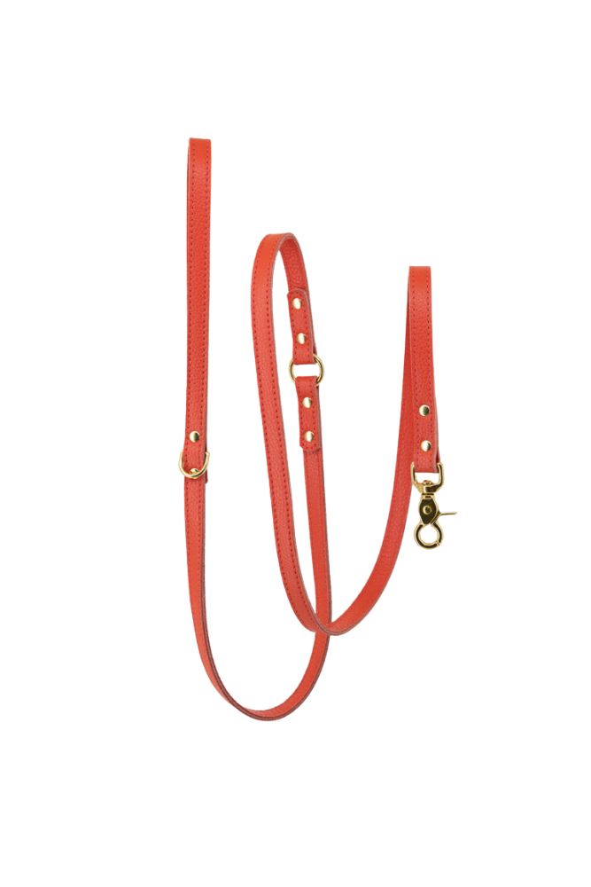 Dog leash leather with small classic grain 170 cm long | 1.5 cm wide - Coral