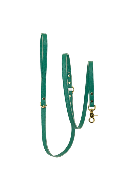 Dog leash leather with small classic grain 170 cm long | 1.5 cm wide - Emerald