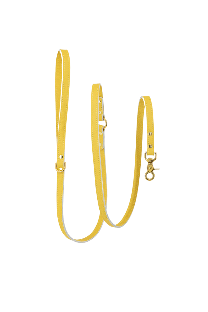 Dog leash leather with small classic grain 170 cm long | 1.5 cm wide - Sunflower yellow