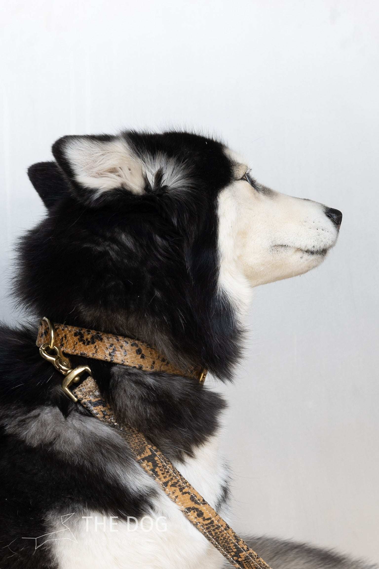 Hondenlijn leer met messing afwerking - Klassiek - Slangenprint Suède