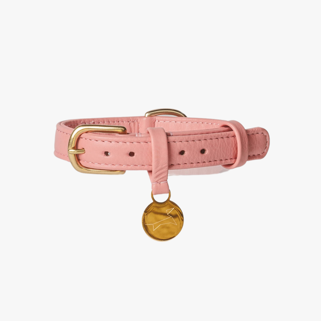 Roze leren halsband met naam penning