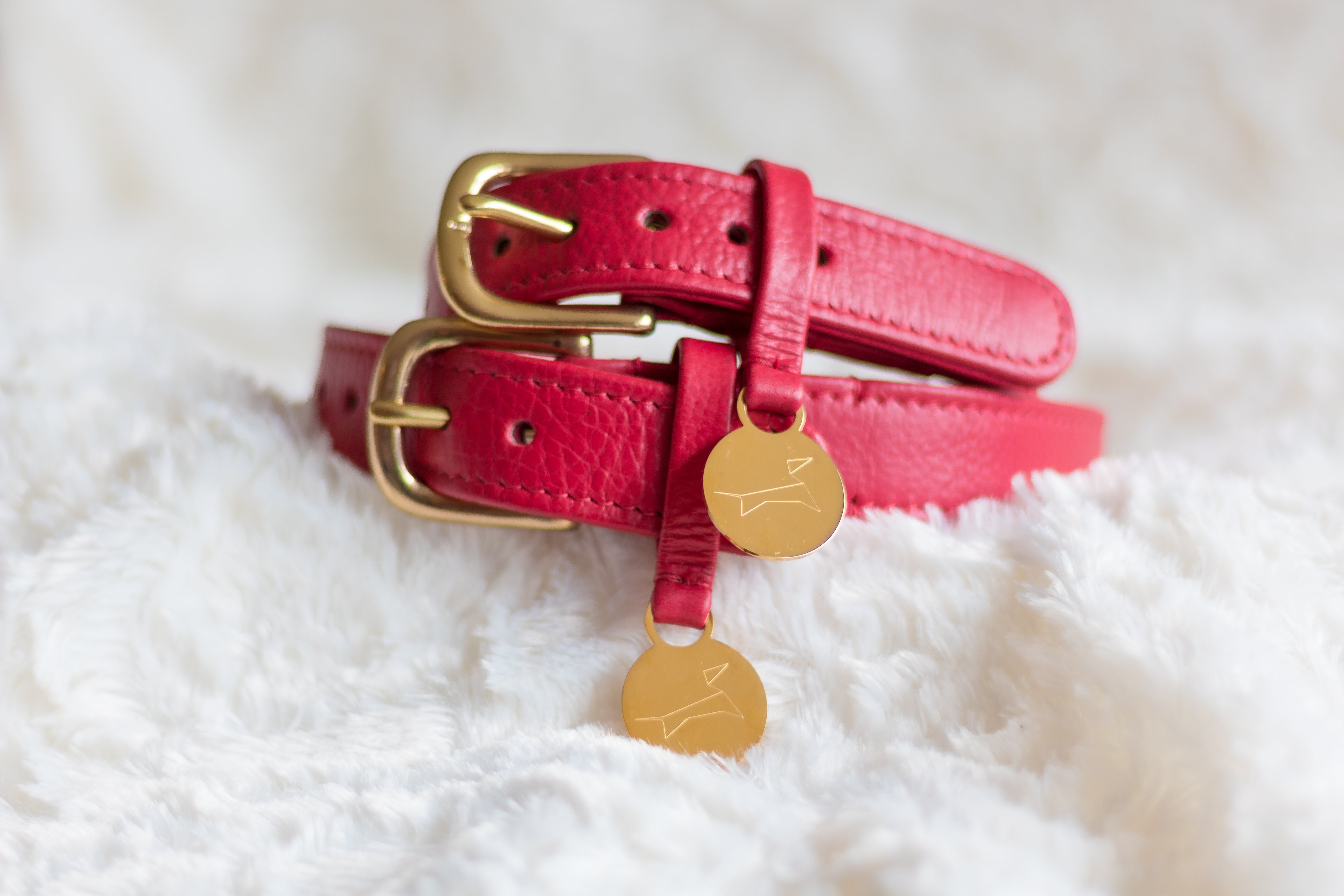 Hondenhalsband luxe leer met naam penning - Royal Red