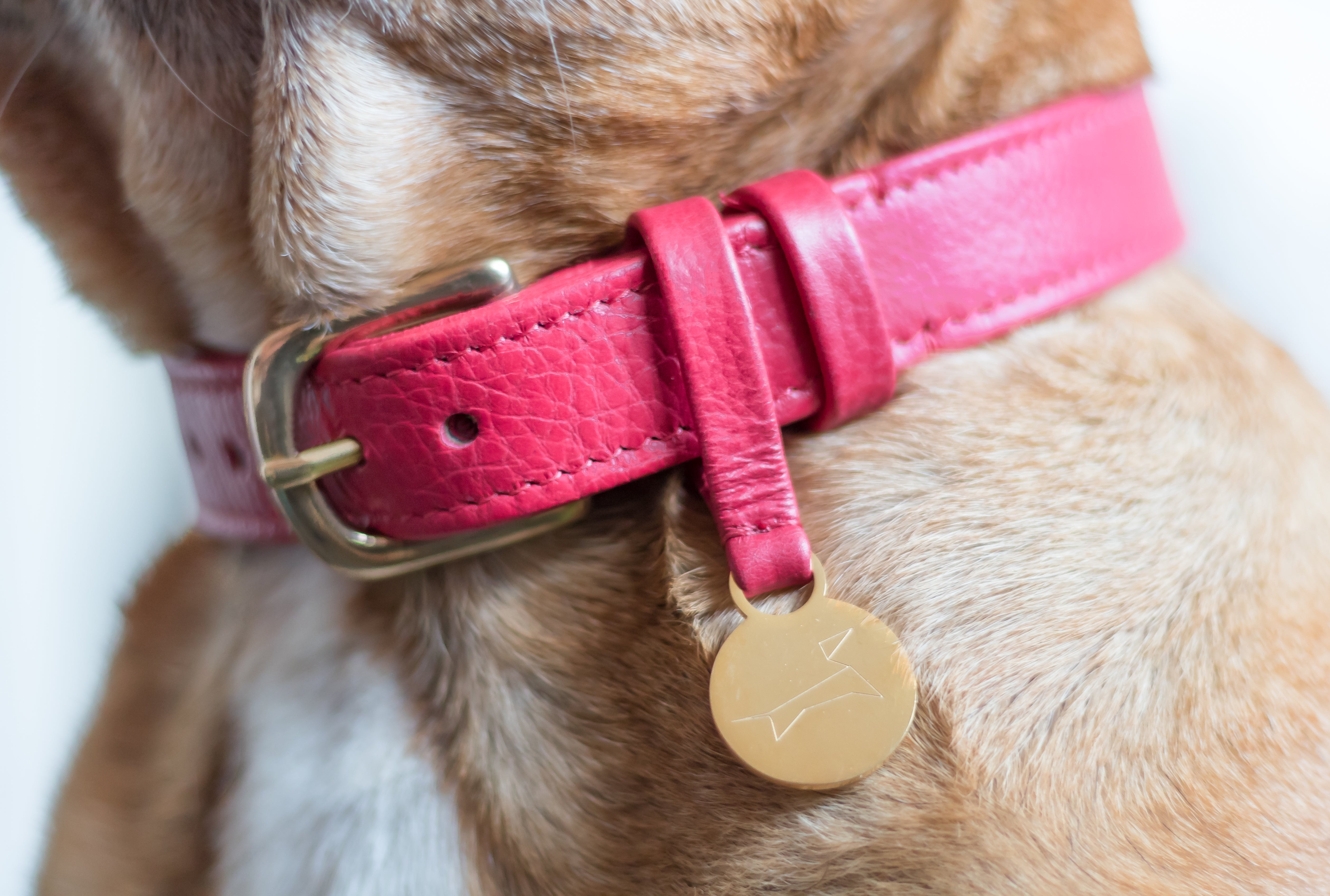 Hondenhalsband luxe leer met naam penning - Royal Red