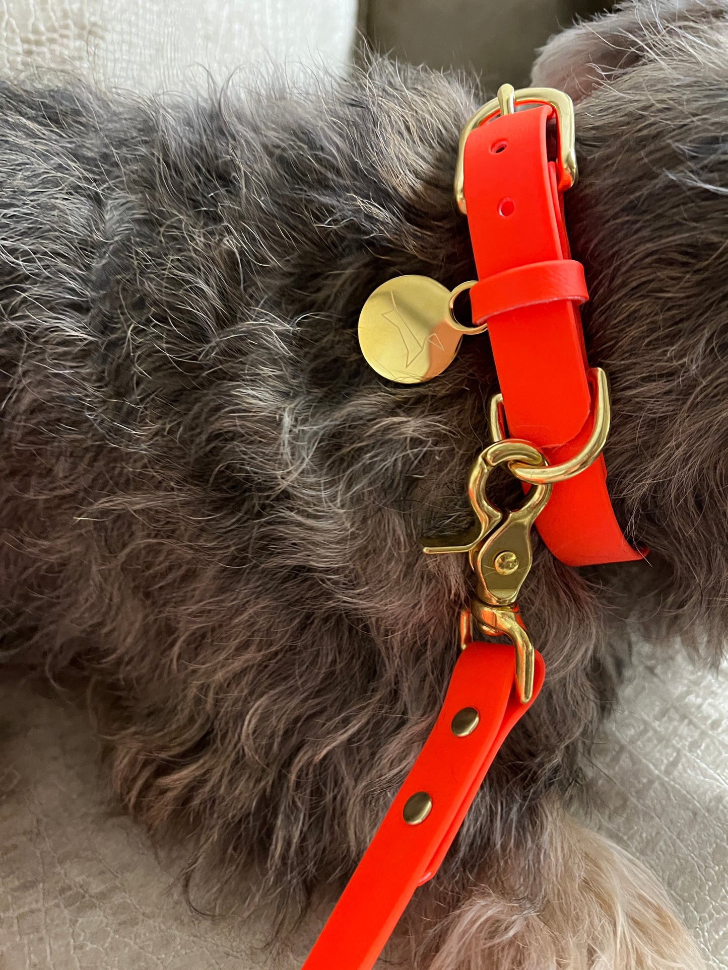 Wasserdichtes Hundehalsband aus Gurtband – Neonorange
