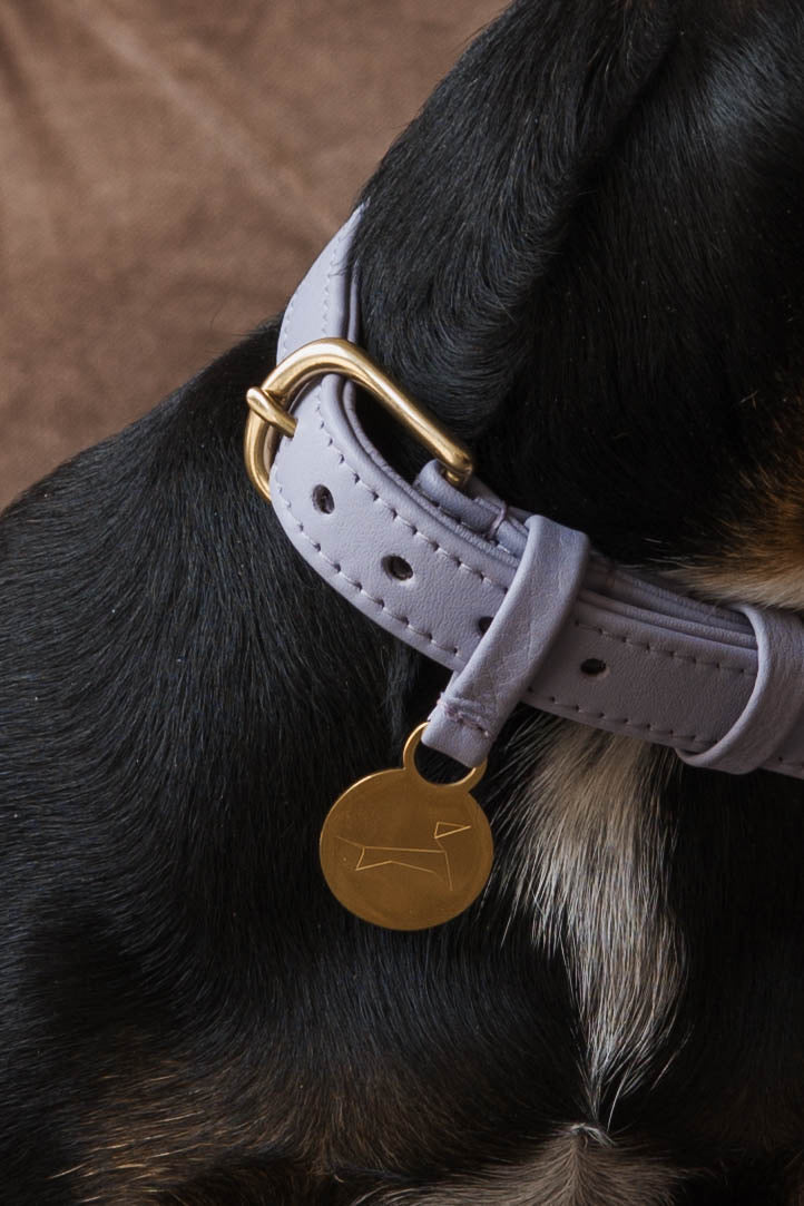 Luxuriöses Hundehalsband aus Leder mit Namensschild – Klassisch – Flieder