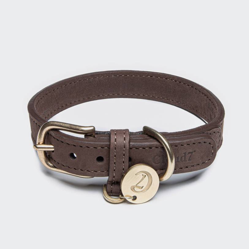 Dog collar (and dog leash) velvet soft nubuck leather - Tiergarten Cloud7