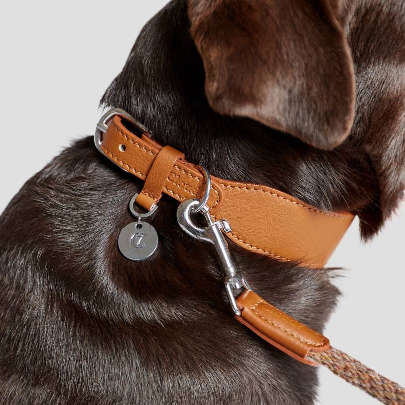 Dog collar nappa leather Toffee