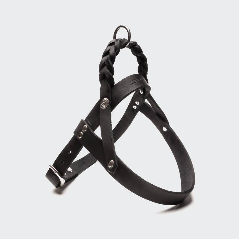 Dog harness fat leather with braid - Central Park Cloud7