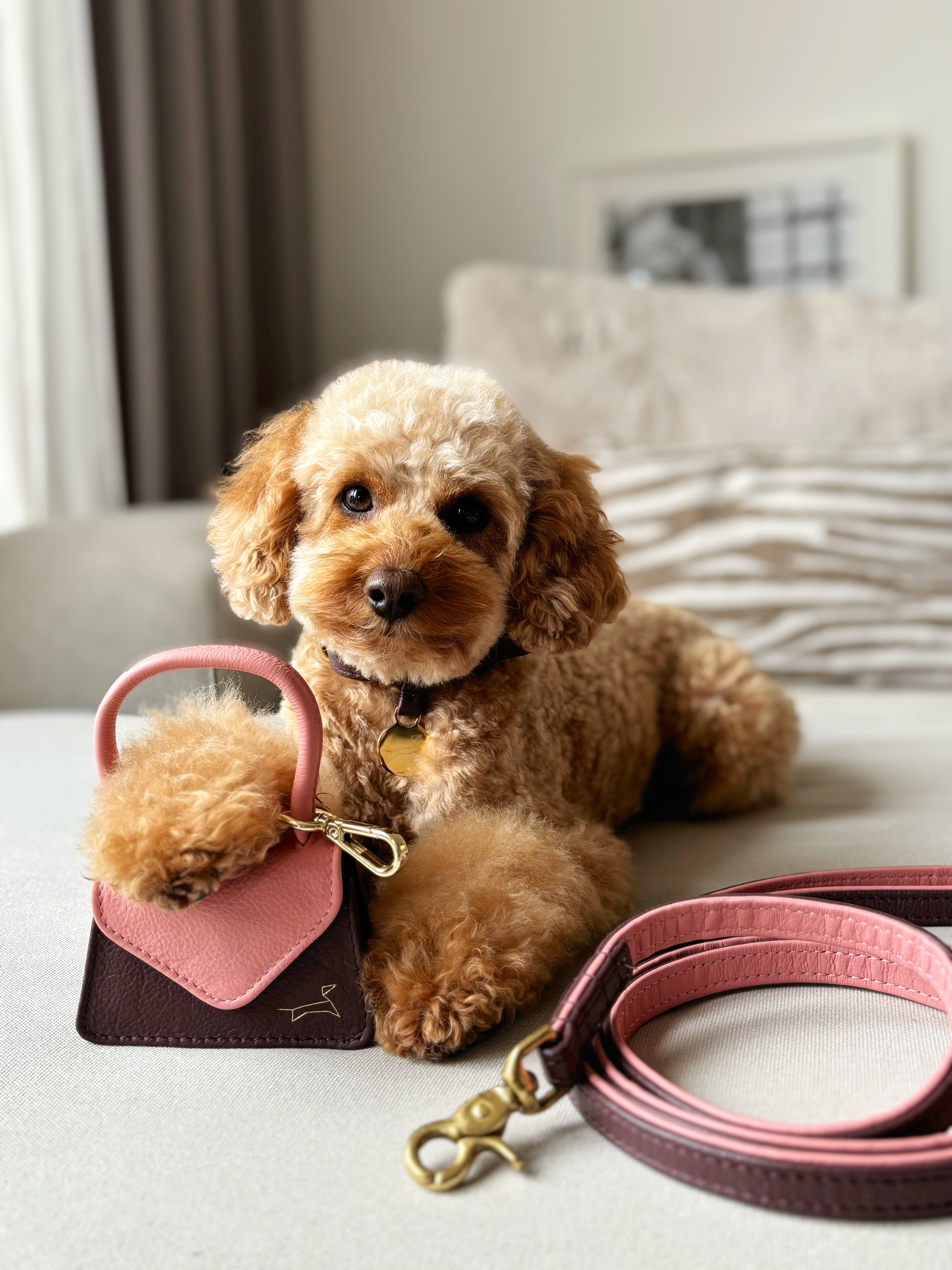 The Dog Musthaves Two Tone – Blush Bag (Leren Beloningstasje & Poepzakjeshouder)