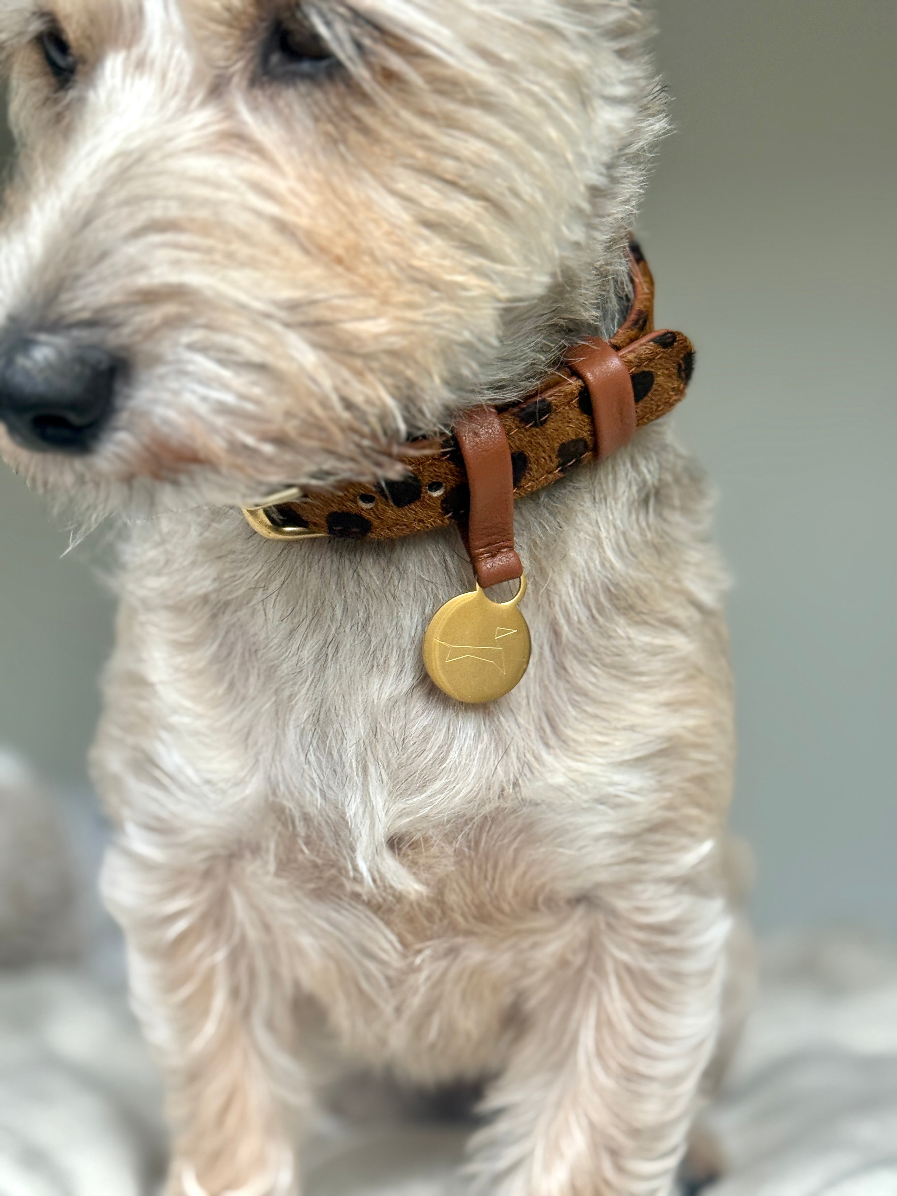 Hondenhalsband luxe leer met naam penning - Cheetah