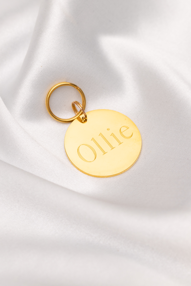 Dog tag gold with name - OLLIE ⌀28mm